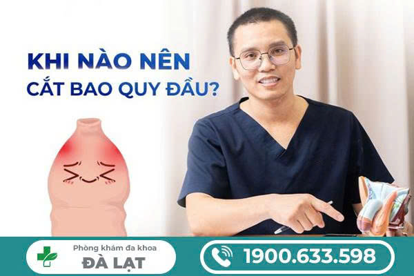 Hình ảnh minh họa